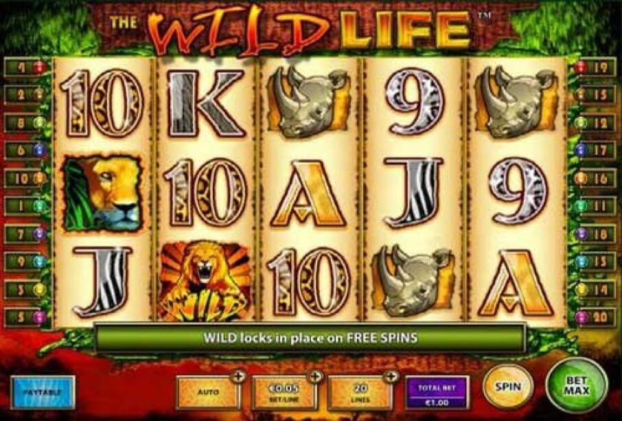 The Wild Life screenshot