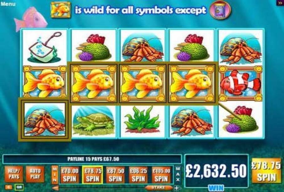Goldfish screenshot