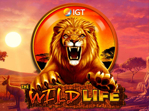 The Wild Life logo