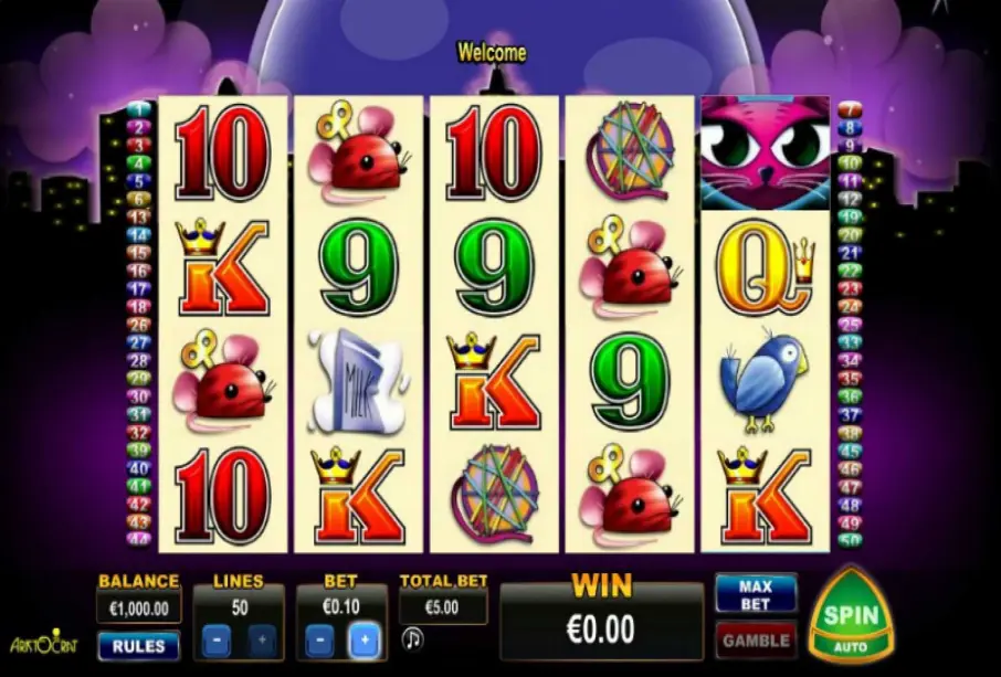 Miss Kitty screenshot